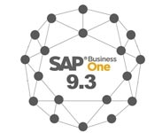SAP Business One 9.3 Icon • bob Systemlösungen